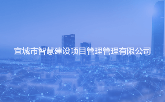 宜城：新建智能停车场 老城区停车不再难